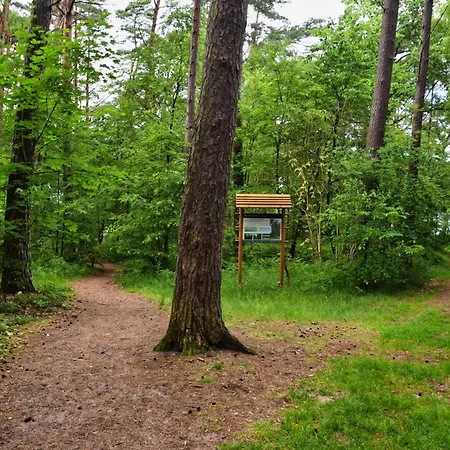 Lidia Sauna & Jacuzzi Prázdninový dům Łukęcin