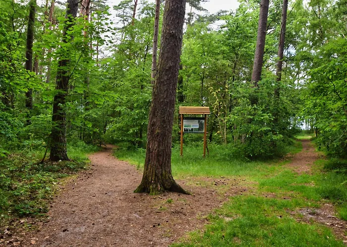 Lidia Sauna & Jacuzzi Prázdninový dům Łukęcin